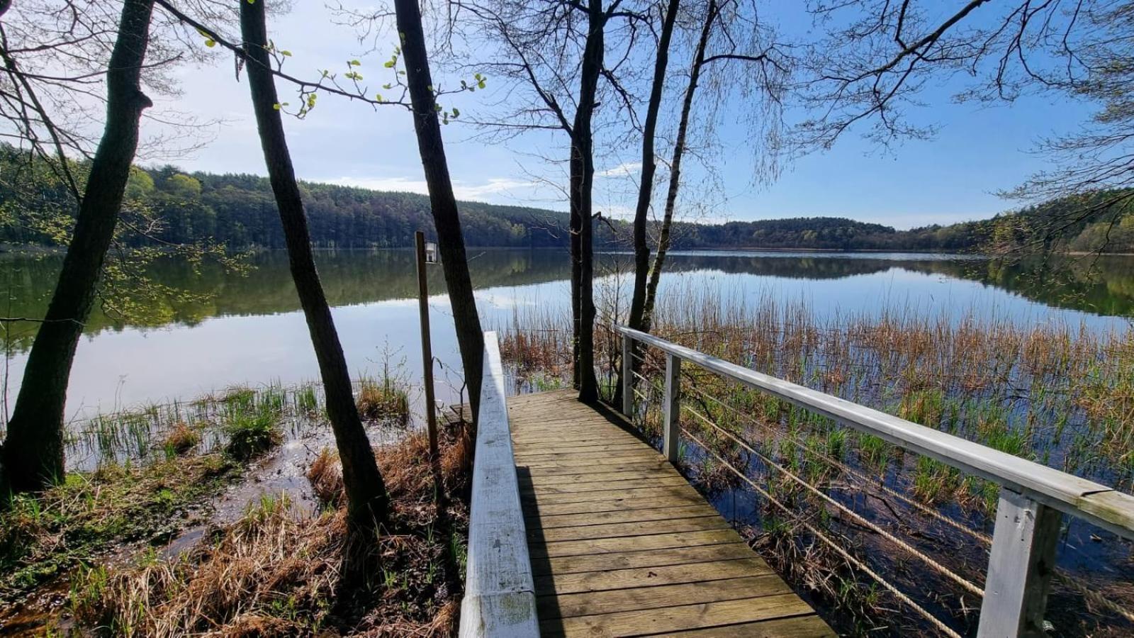 Osrodek La La Las - Domki Letniskowe W Lesie Nad Jeziorem Bytnica Экстерьер фото